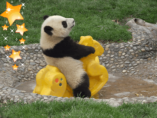 panda-bears-free-animated-gameznet 025.gif